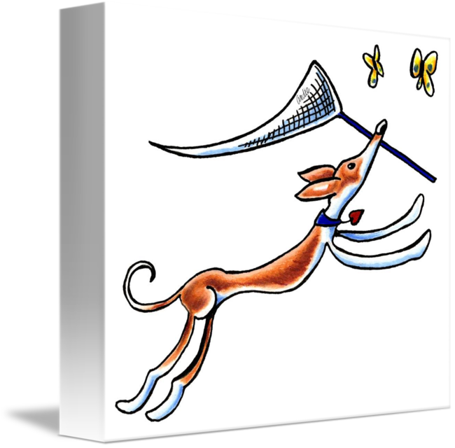 Ibizan Hound Butterflies Rectangle Magnet (650x640)