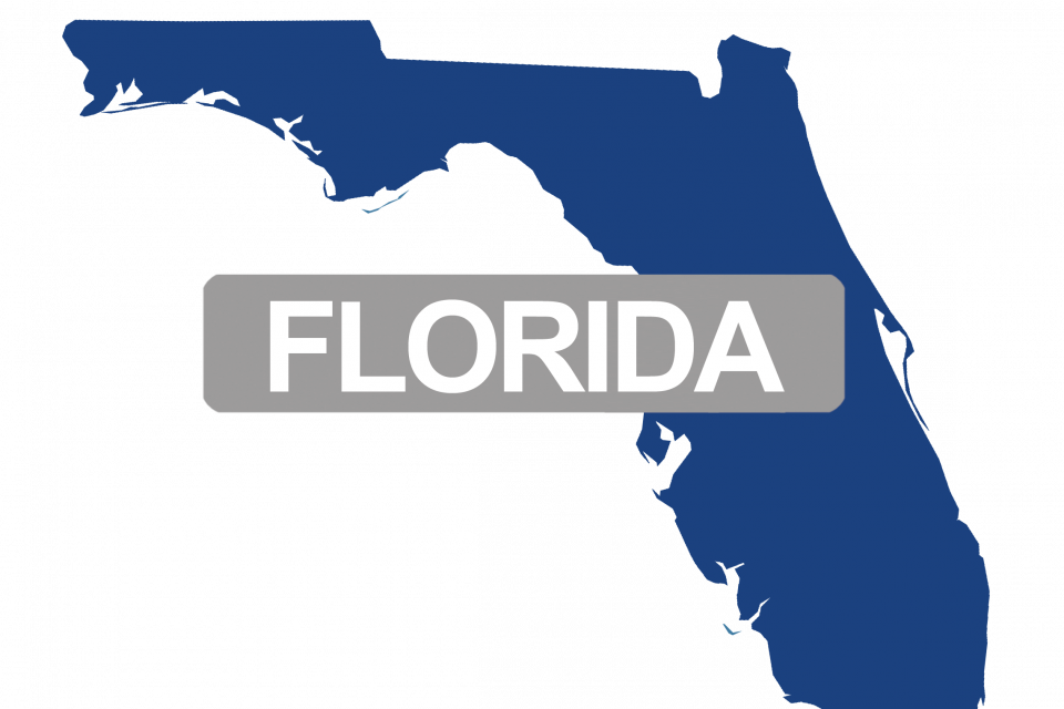 Best Daily Travel Tips, Vacation Ideas & Trip Advice - Florida State (960x640)