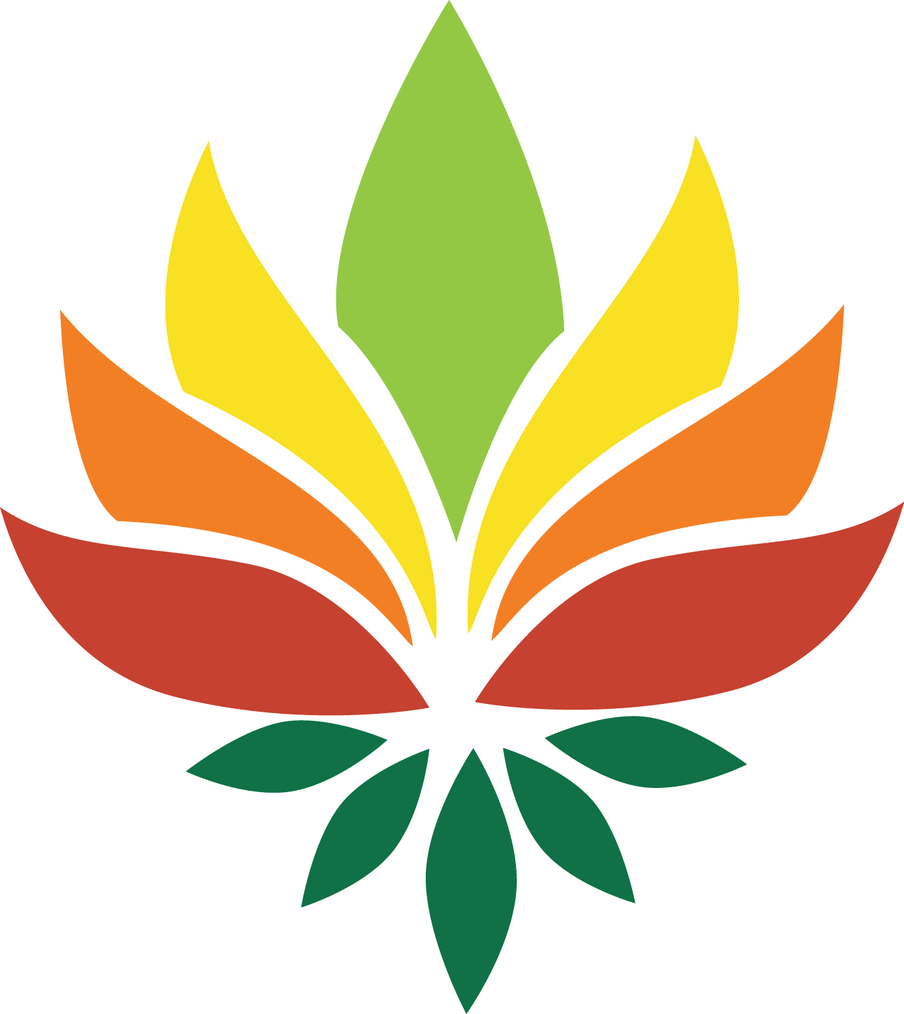Nelumbo Nucifera National Symbols Of India Pattern - Sacred Lotus (1293x1449)