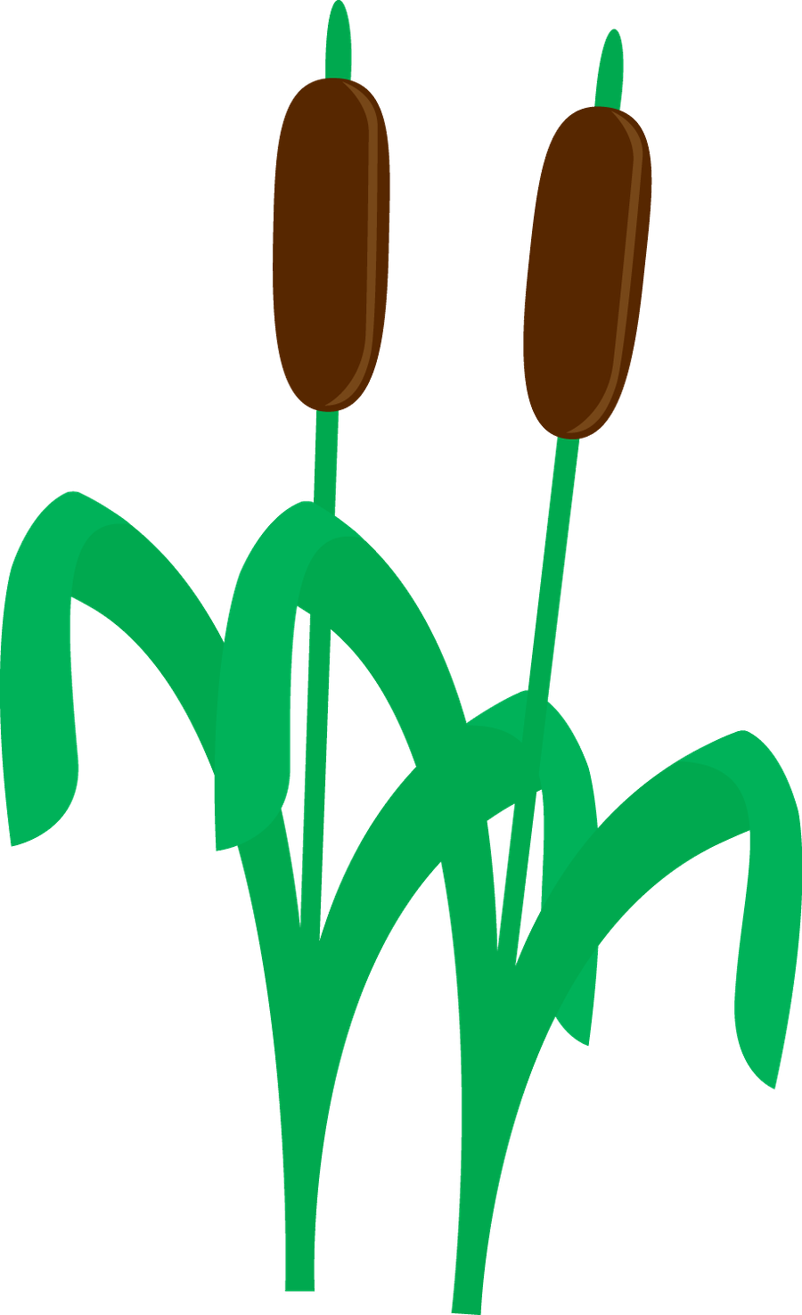 Sapos - Minus - Pond Life Clip Art (915x1500)