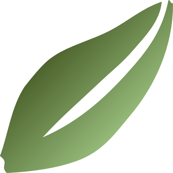 Royalty-free Clip Art - Tree (600x601)