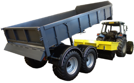 Hinta - Japanese Giant Red Mustard (500x333)