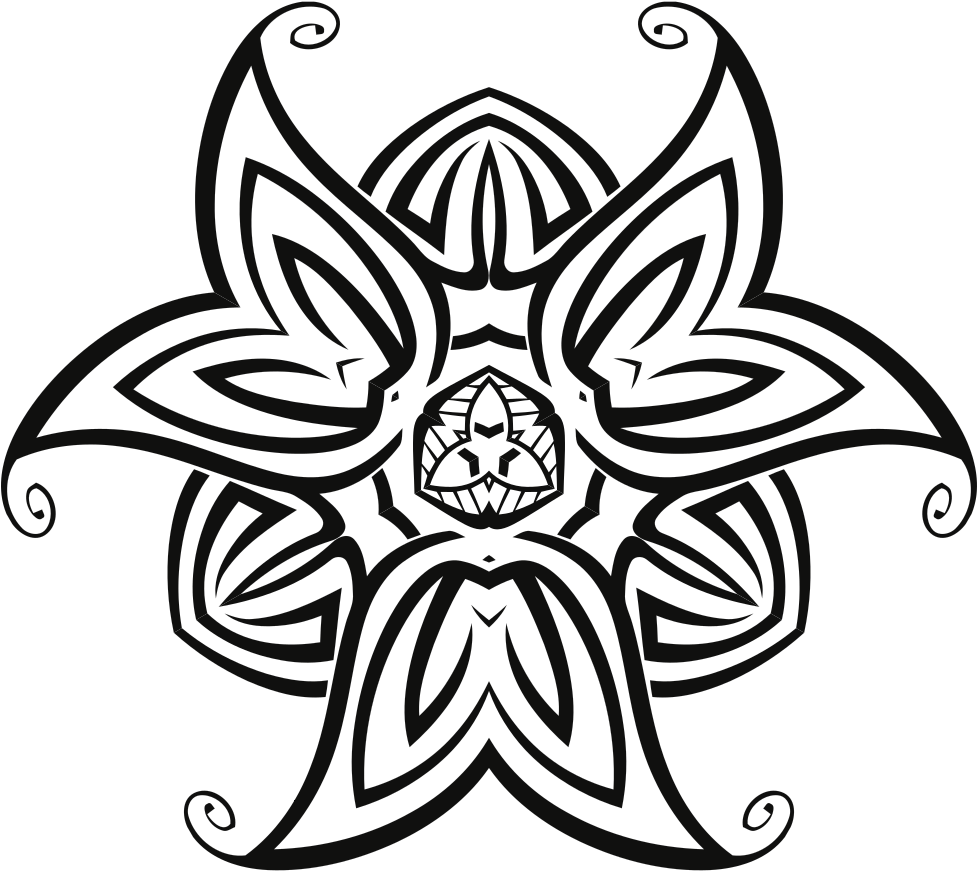 Wicked Orchid - Portable Network Graphics (1000x890)