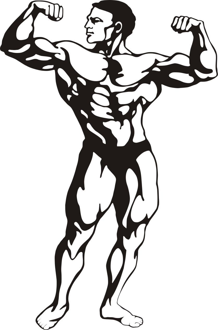 File - Btoteva Fitness - Svg - Bodybuilders Clipart (837x1265)