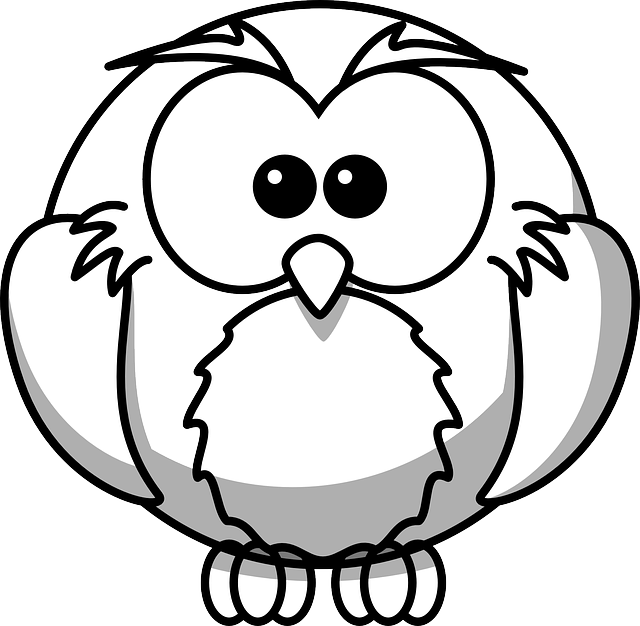 Cute Bird, Owl, Animal, Cute - Black And White Colouring Pages (640x626)