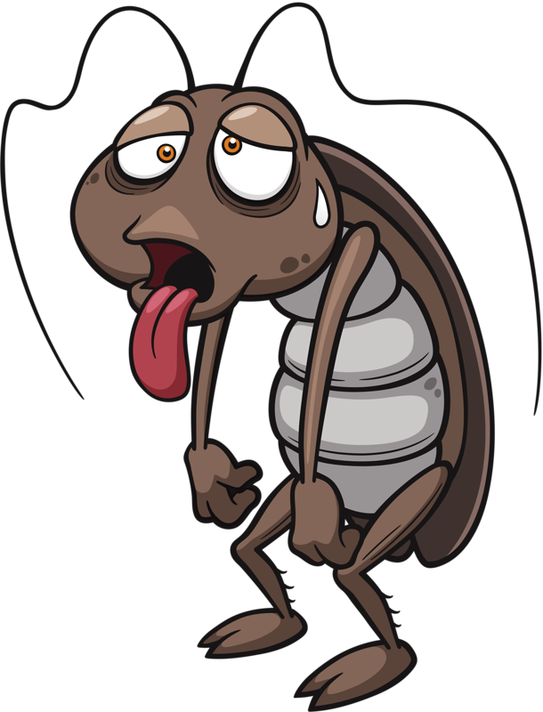 Cockroach Cartoon Stock Photography Clip Art - Con Gian Hoat Hinh (610x800)