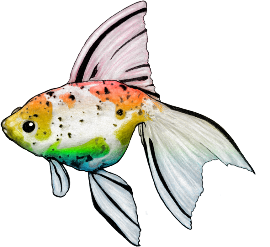 Rainbow Golfish By Nickidoodles - Goldfish (932x858)