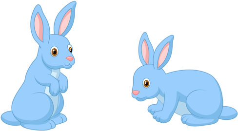 1 - Rabbit (500x282)