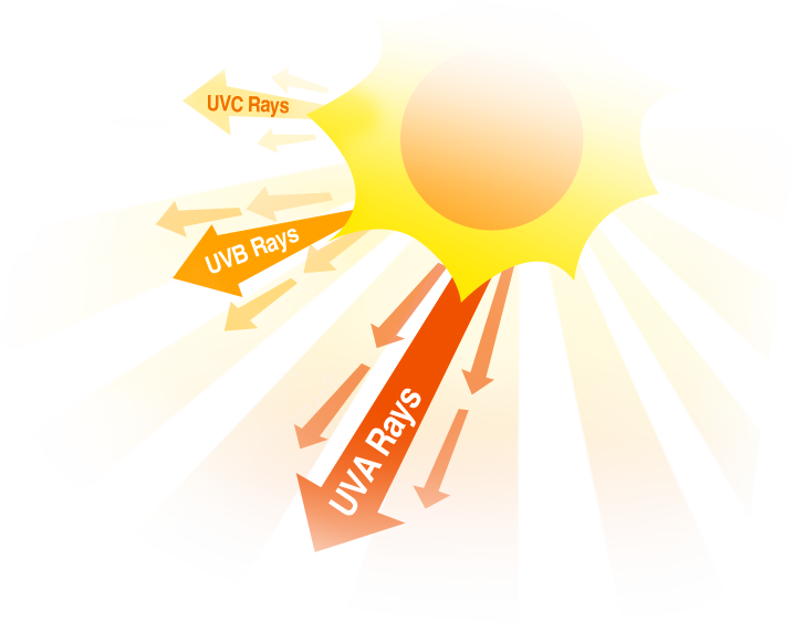 Good And Bad Effects Of Uv Rays, You Choose - Caring For All Life Under Sun (717x564)