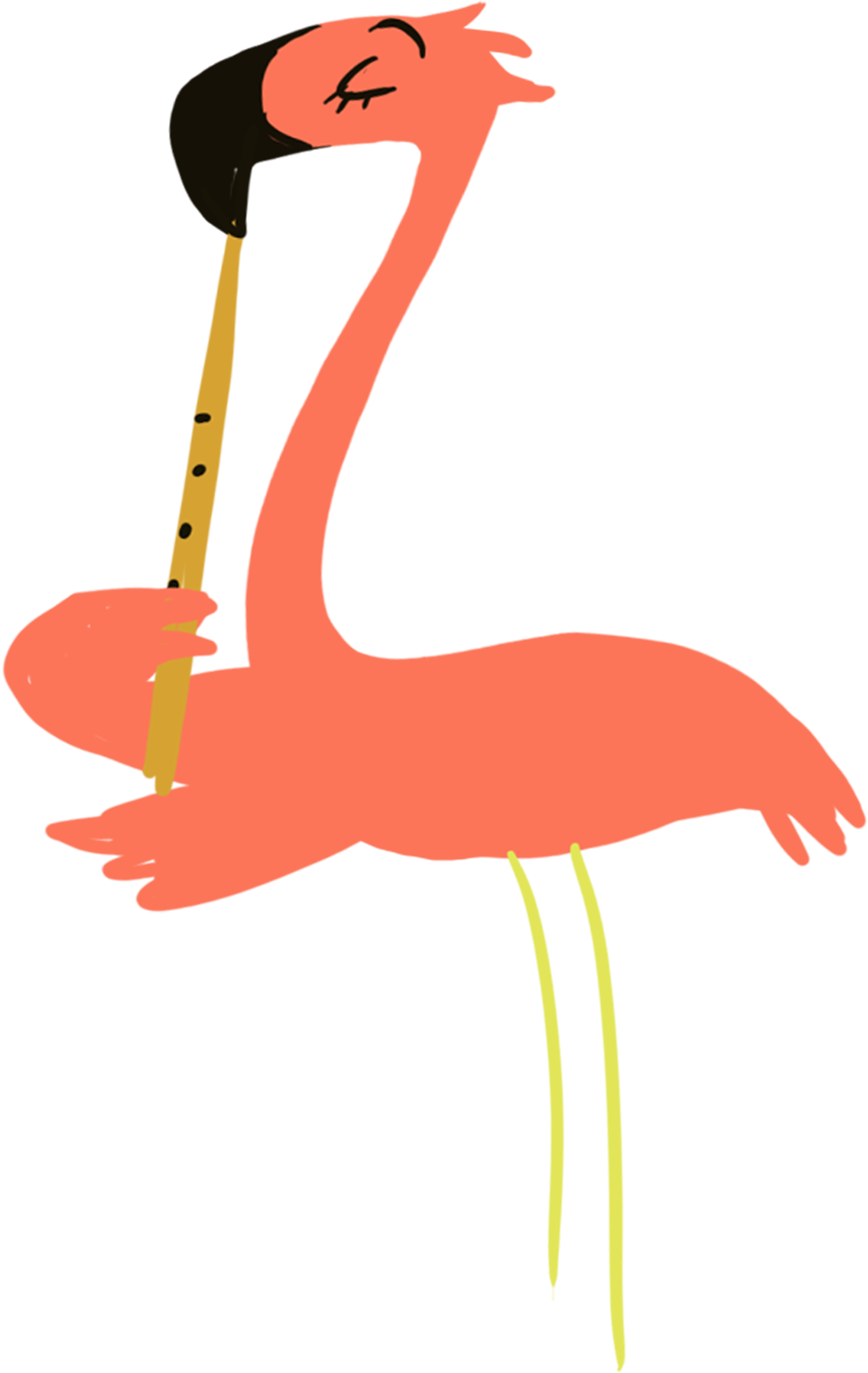 Flamingo Music - Water Bird (3163x3163)