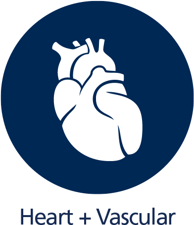 Wmc 2 Heart - Cardiology (391x464)