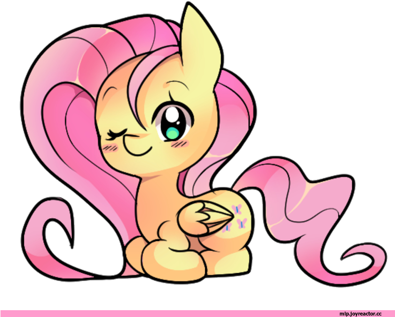 My Little Pony - My Little Pony: Friendship Is Magic (811x676)