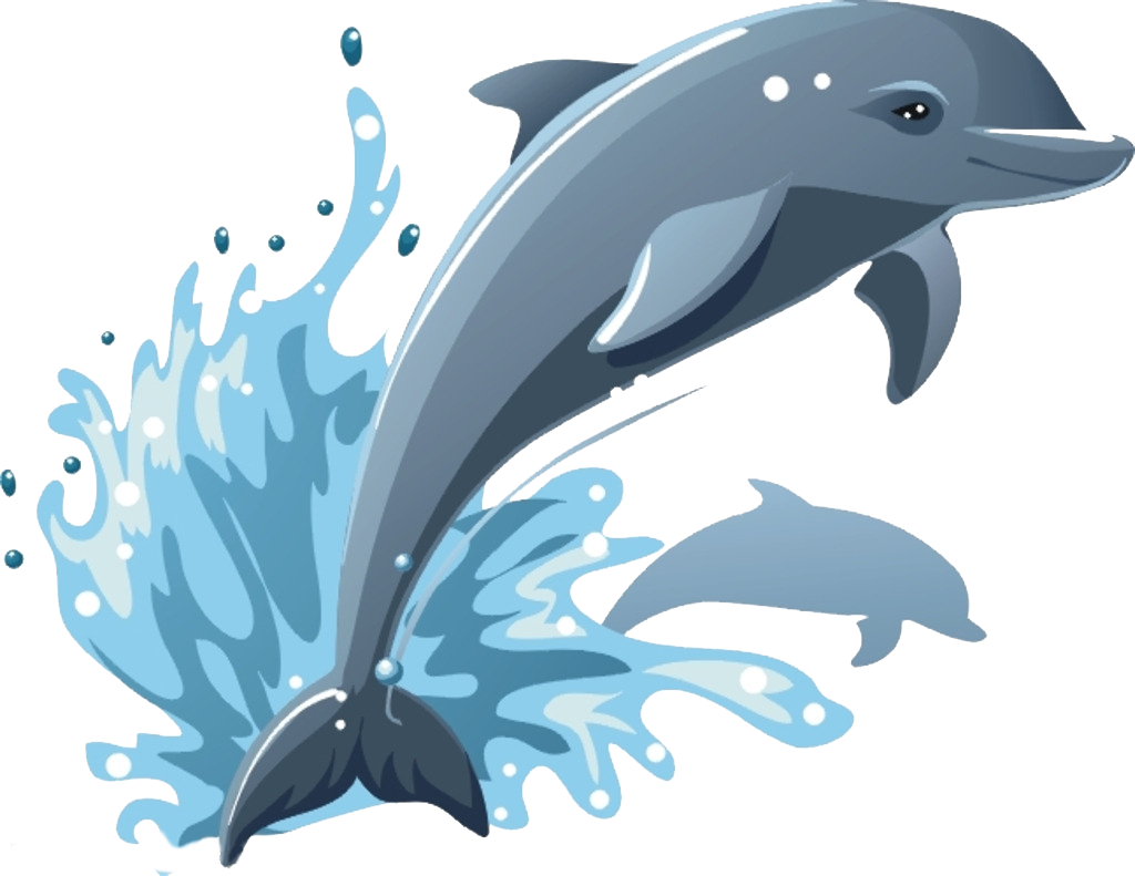 Common Bottlenose Dolphin Drawing Clip Art - Common Bottlenose Dolphin Drawing Clip Art (1024x791)