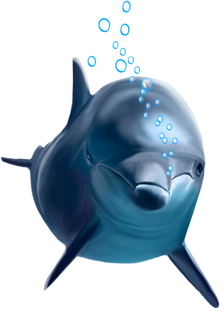 Common Bottlenose Dolphin - Common Bottlenose Dolphin (815x1111)