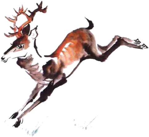 Red Deer Ink Wash Painting - Red Deer Ink Wash Painting (603x632)