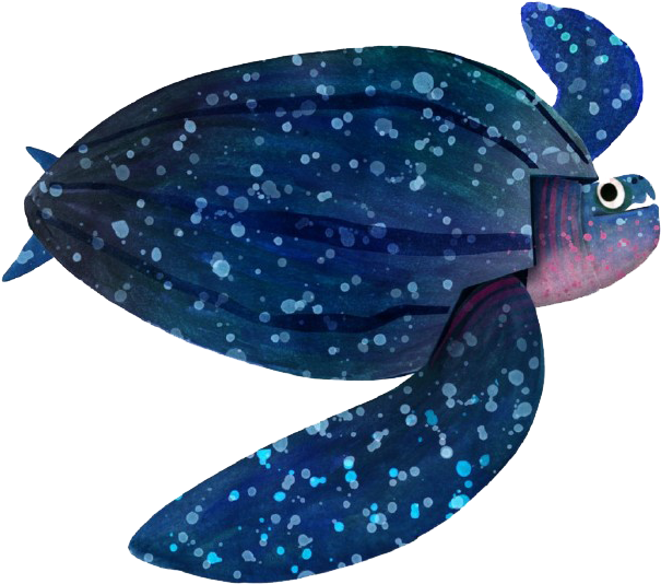 Vietnam New York City Illustrator Animal Illustration - Vietnam New York City Illustrator Animal Illustration (690x611)