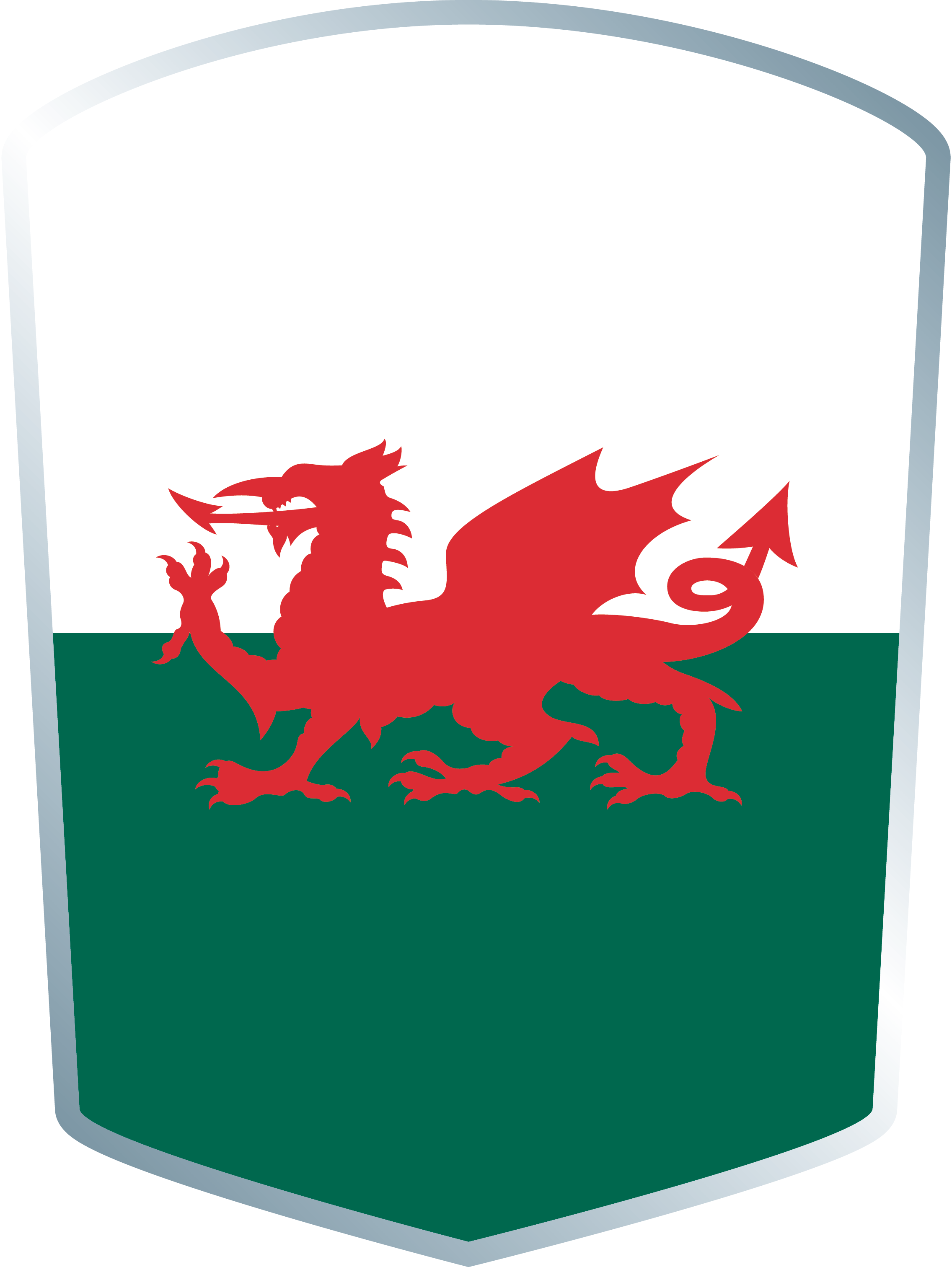 08/07 - Welsh Flag Meme (2272x3024)