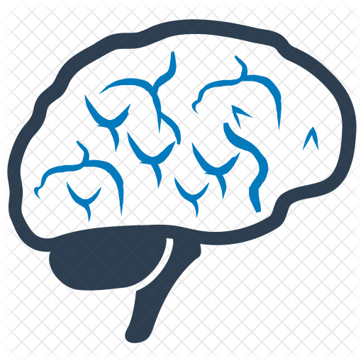 Brain Icon - Neurology (512x512)
