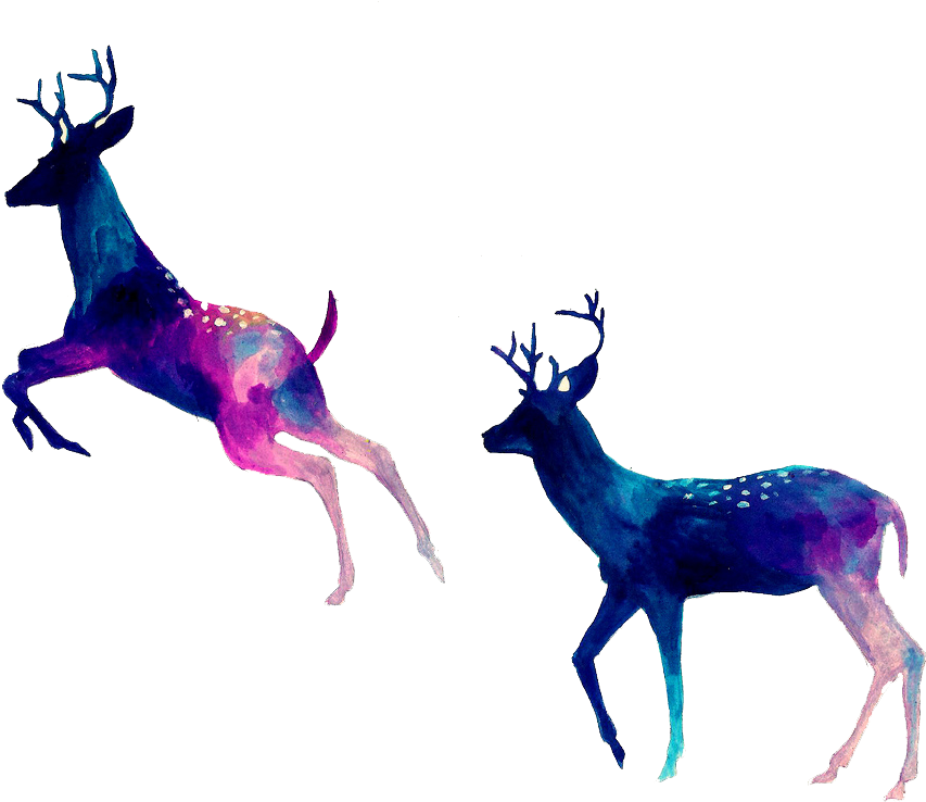 Reindeer Drawing Watercolor Painting - Reindeer Drawing Watercolor Painting (1024x881)