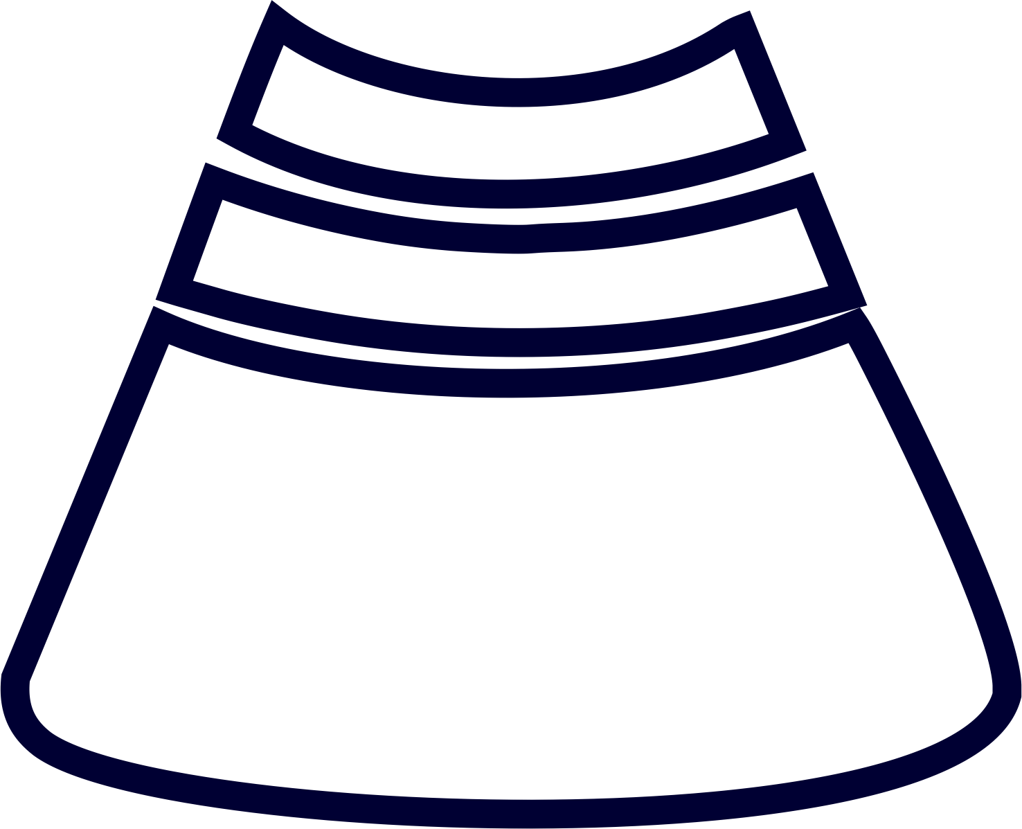 Ultra Sound Scan - Ultra Sound Scan (1476x1197)