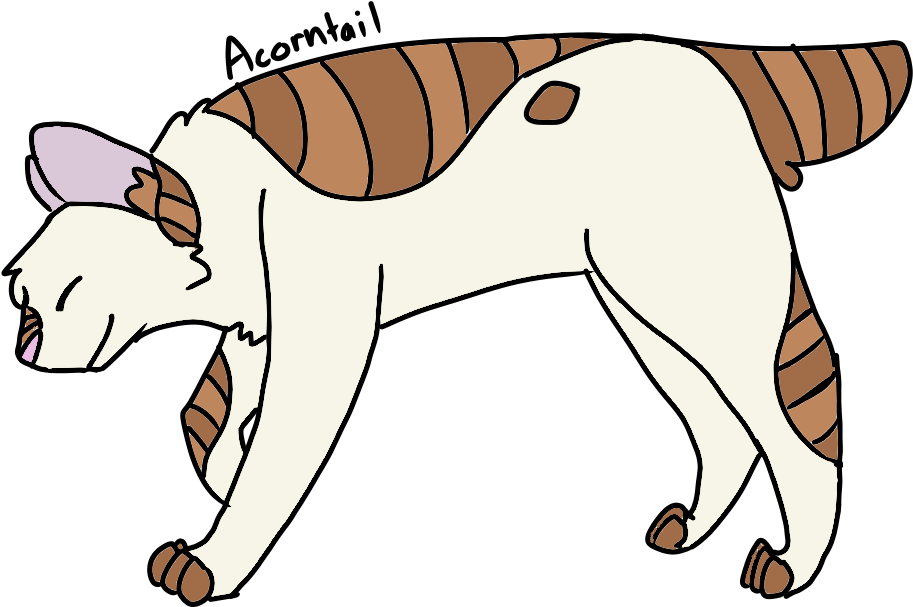 This Is Acorn Fur From Warrior Cats, - This Is Acorn Fur From Warrior Cats, (1280x720)
