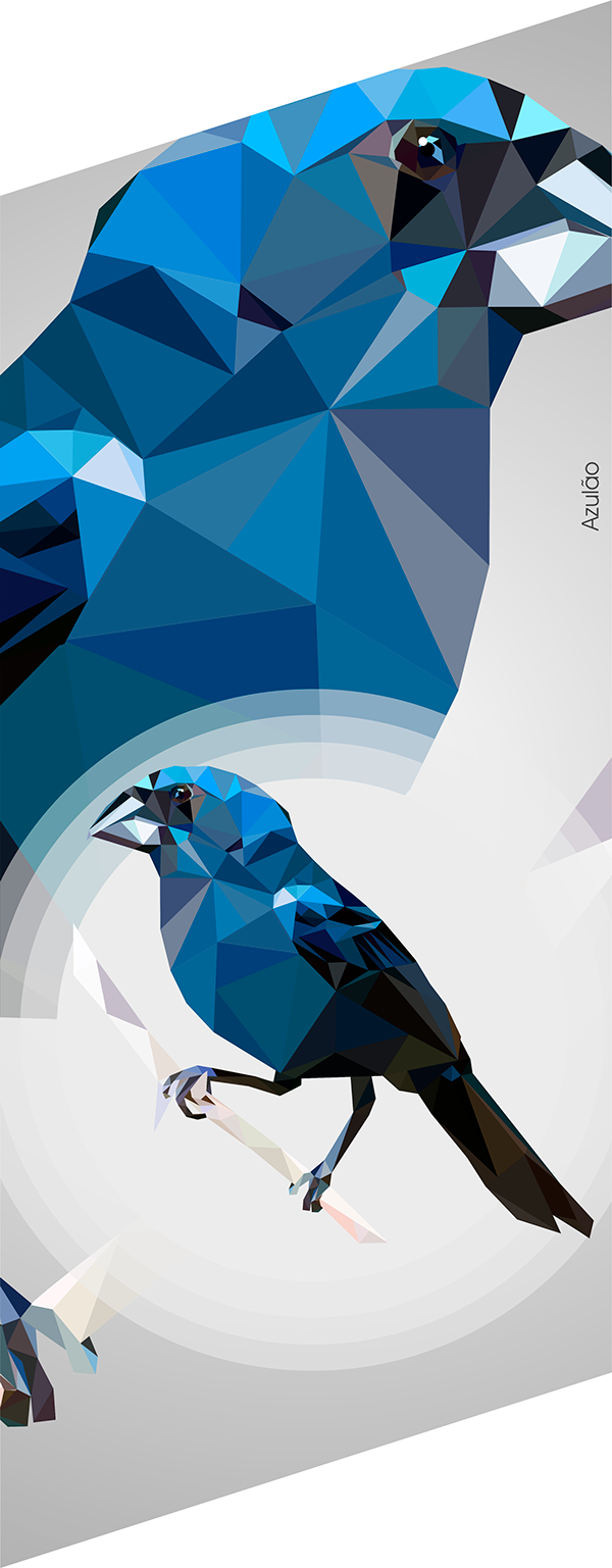 Lucas Miranda - Mountain Bluebird (600x1537)