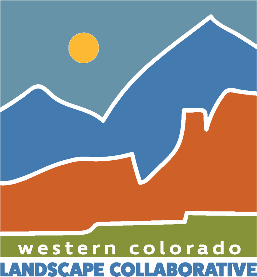 Rgb Color Model (1000x1000)