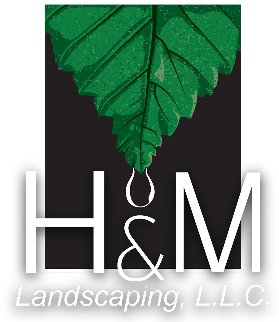 H And M Landscaping - Beautiful M And H (900x1039)