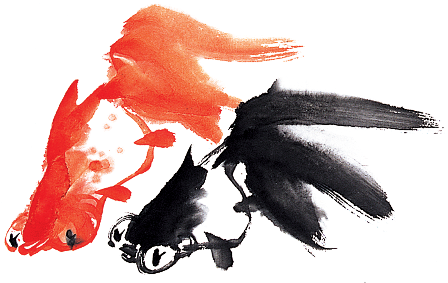 Koi Carassius Auratus Ink Wash Painting Fish - Koi Carassius Auratus Ink Wash Painting Fish (2296x1642)