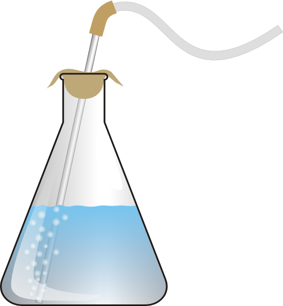 Bubbling Beakers And Test Tubes For Kids - Erlenmeyer Flask Gif (552x597)
