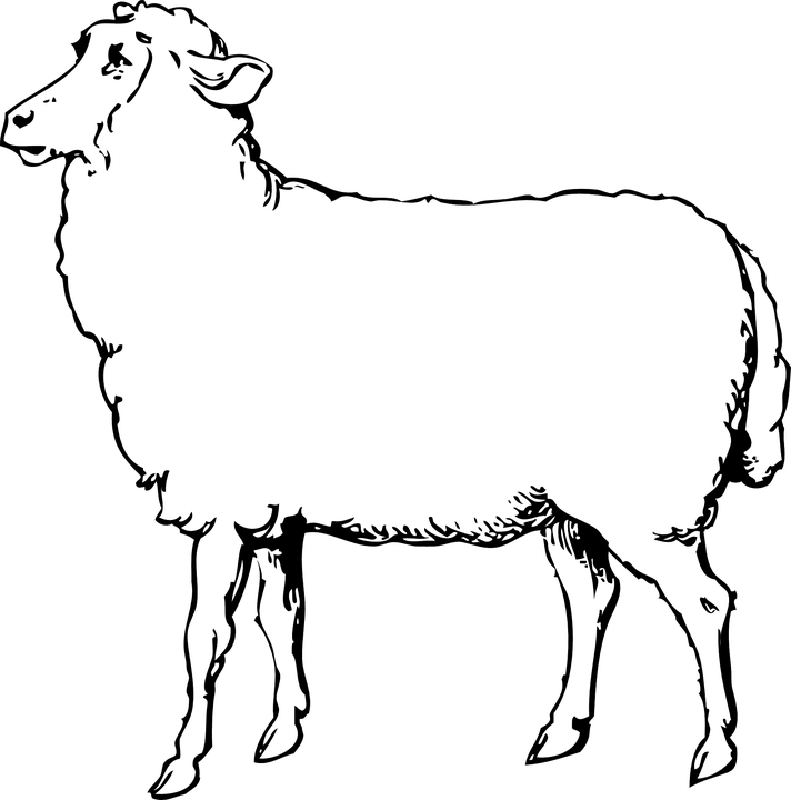 Free Vector Graphic - Black And White Clipart Of Sheep (712x720)