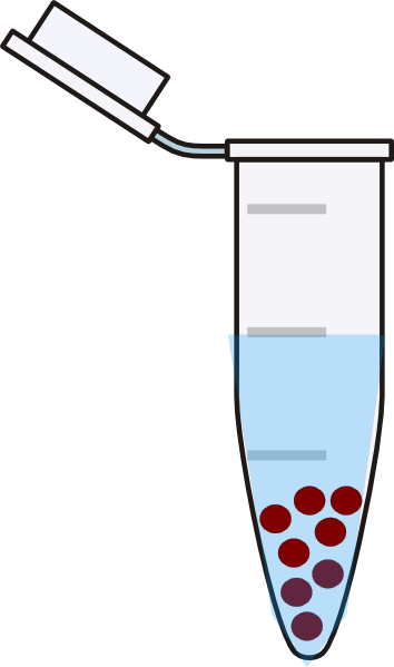 Eppendorf Clipart (354x599)