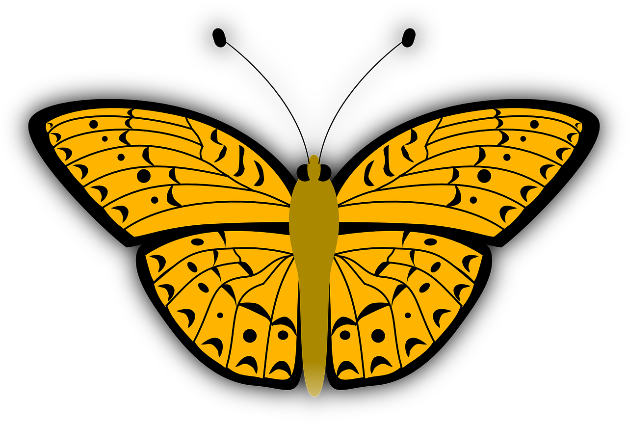 Yellow Butterfly Clipart - Orange Butterfly Shower Curtain (1280x866)