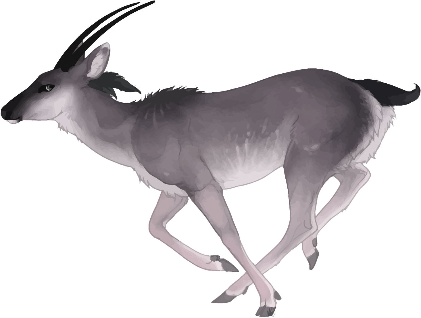 Antelope Deer Watercolor Painting - Watercolor Painting (1500x1137)