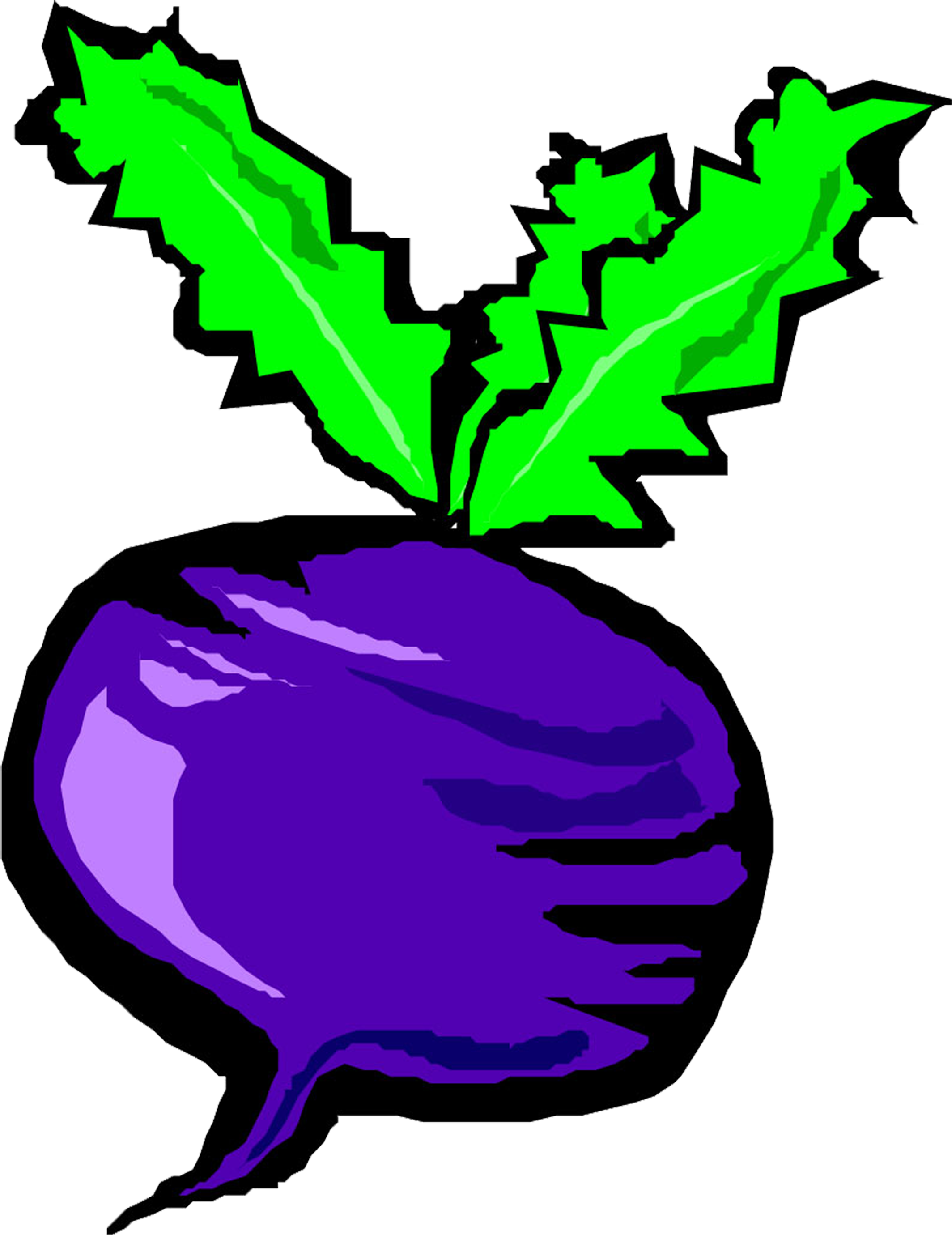 Vegetable Eggplant Drawing Painting - Vegetable Eggplant Drawing Painting (4051x2920)