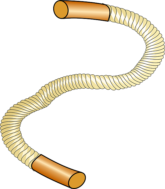 Strong Rope, Cord, Thick, Strong - Robe Clipart (558x640)