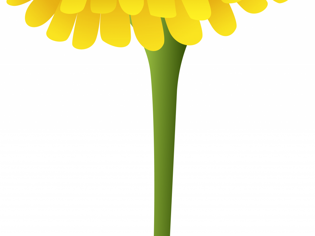 Dandelion Clip Art - Dandelion Clip Art (1024x768)
