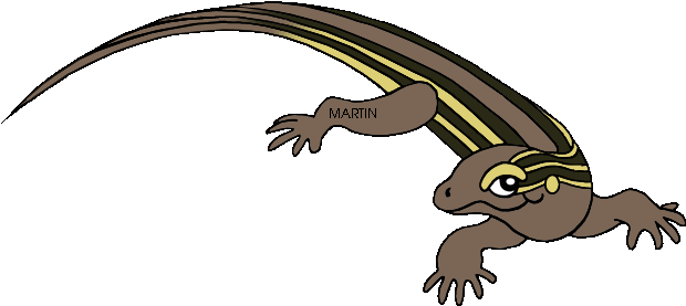 New Mexico State Reptile Whiptail Lizard - New Mexico State Reptile (648x295)