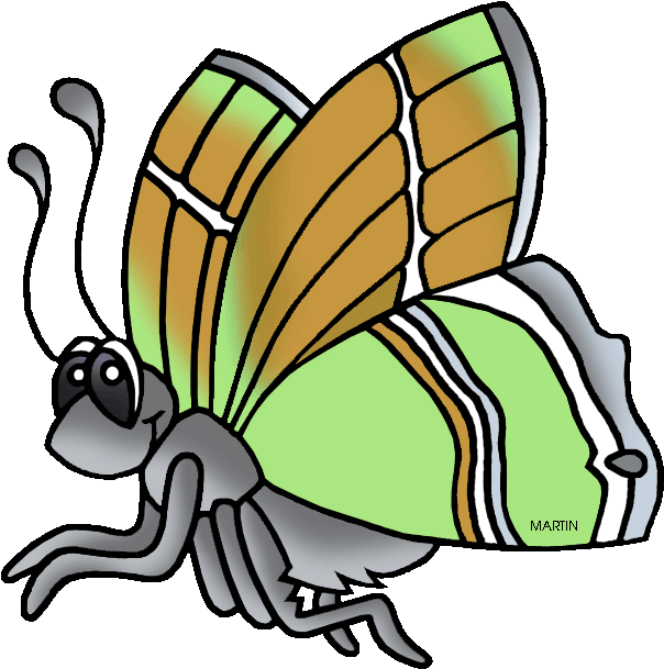 New Mexico State Butterfly Sandia Hairstreak - Child (648x639)