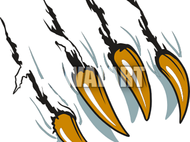 Scar Clipart Bear Claw - Clip Art Bear Claw (640x480)