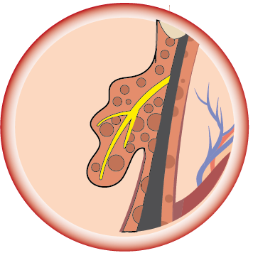 Platform - Butcher And The Boar (356x356)