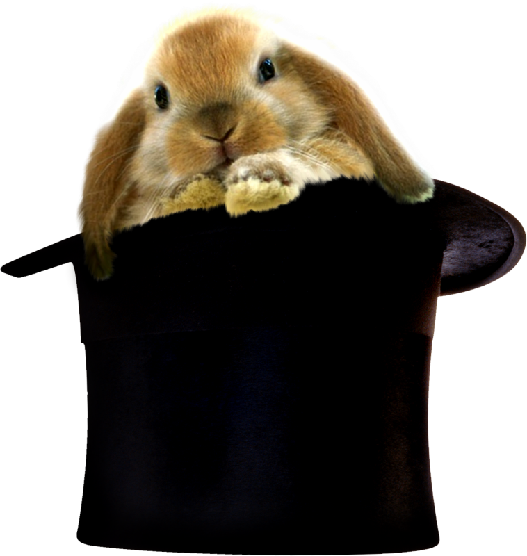 Divergent Hogwarts - Baby Touch And Feel Easter Bunny (758x800)