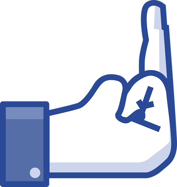 Facebook, Social Network, Like, Do Not Like It, Symbols - Fuck You Facebook Hand (606x640)
