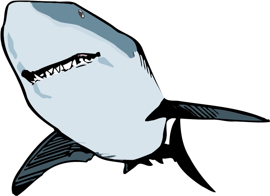 Shark Animation Clip Art - Custom Great White Shark Mugs (1117x758)