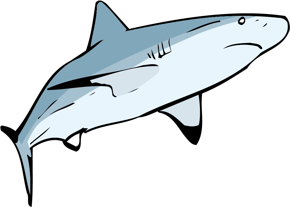 Requiem Shark Clip Art - Euclidean Vector (1142x750)