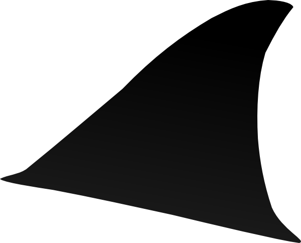 Fin Clipart - Shark Fin Png (600x484)