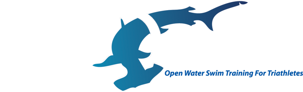Peluso Open Water Swimming - Swimming (1000x306)