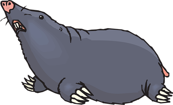 Ground Looking Animal Claws Blind Mole Bli - Mole Clipart (561x340)