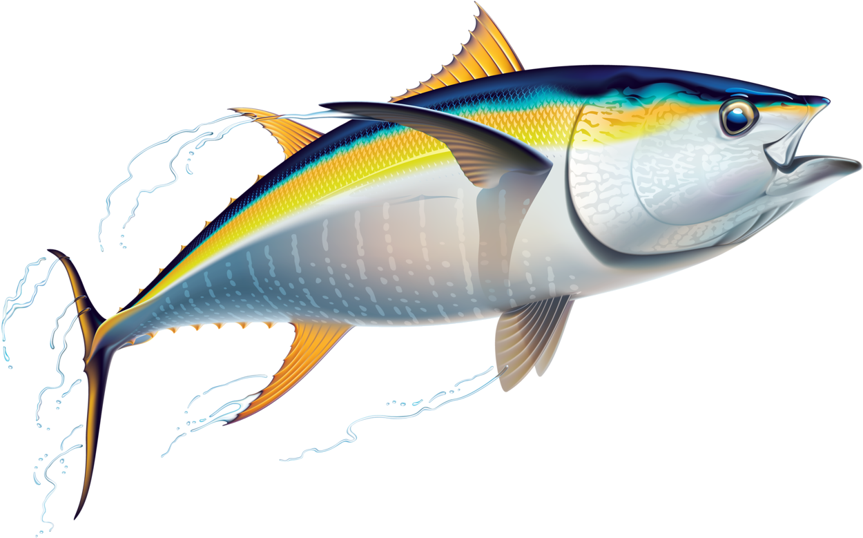 Craft - Yellowfin Tuna (1280x813)