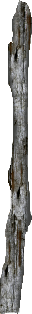 Inspiration Wooden Post Png - Driftwood (1240x1383)